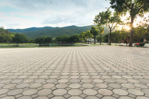 Best Brick Driveway Pavers  in Baudette, MN